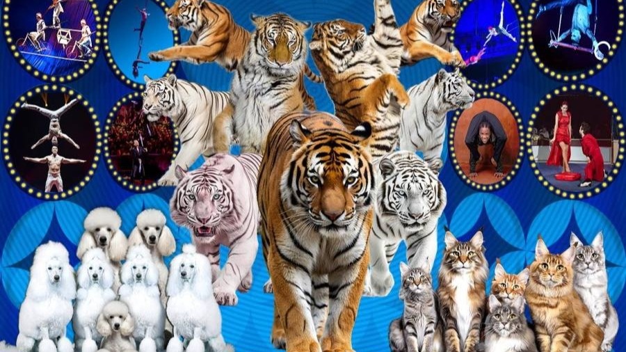 World Circus in Mongolia 2026 show to open soon