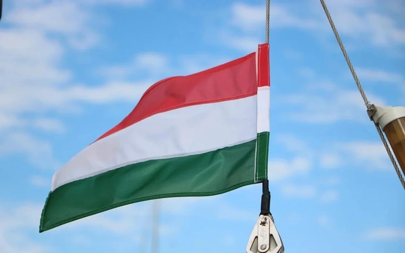 Majarstandaǵy parlamenttik saılaýda halyqtyń joǵary belsendiligi baıqaldy