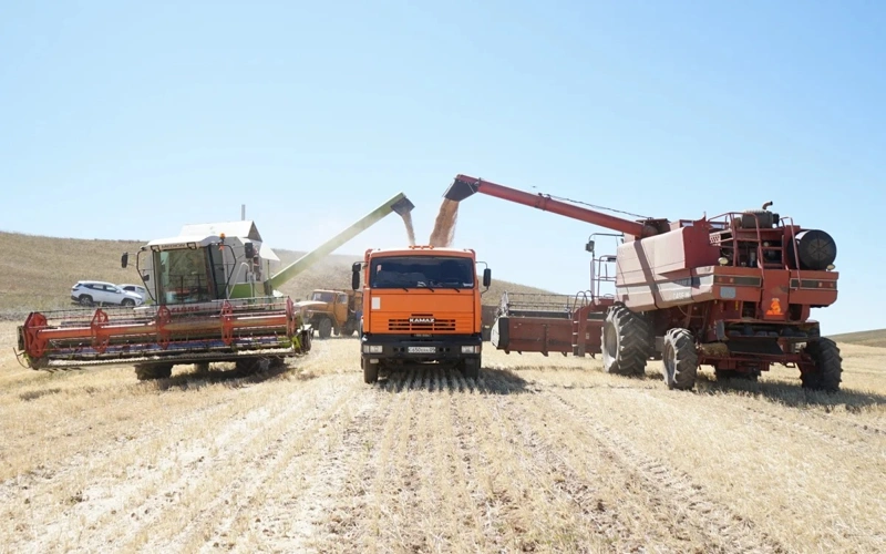 Kazakhstan names top grain stock regions