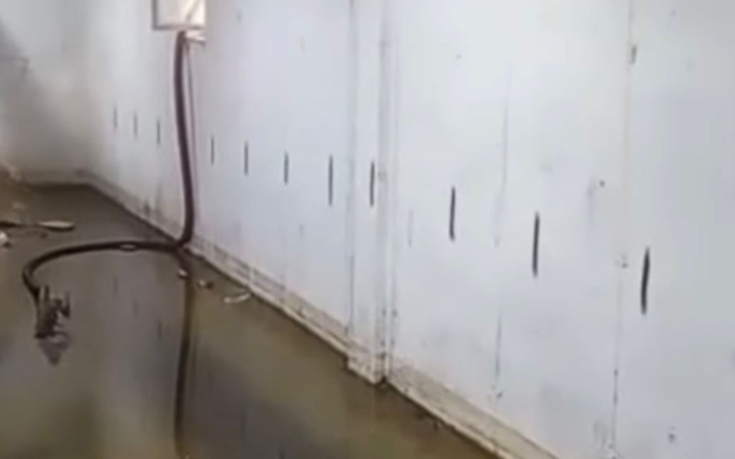 Талдықорғандағы көпқабатты тұрғын үйдің кәріз жүйесі бітеліп, жөртөле сасық суға толды