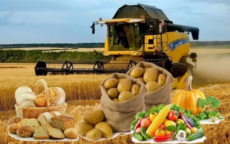 Производство продуктов питания увеличилось на 11,9% и превысило 665 млрд тенге