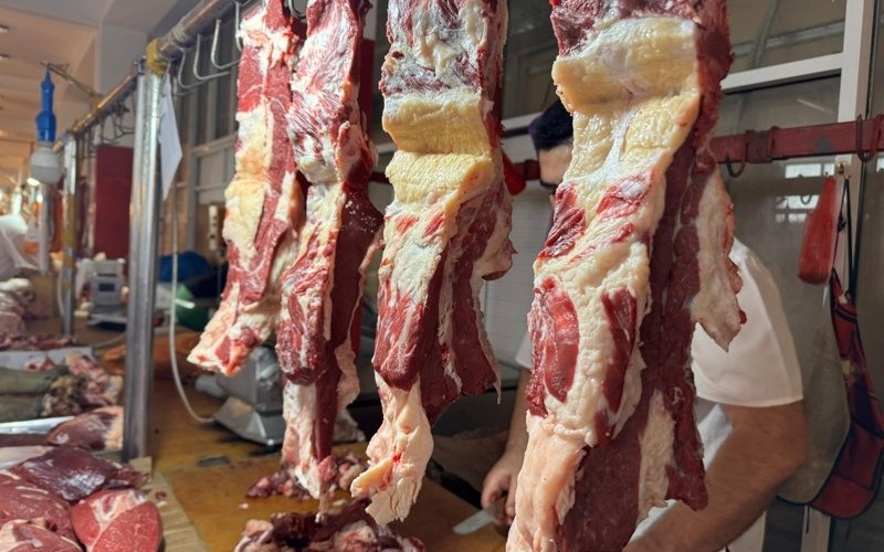 Kazakhstan’s livestock sector shows steady growth in 3M2026