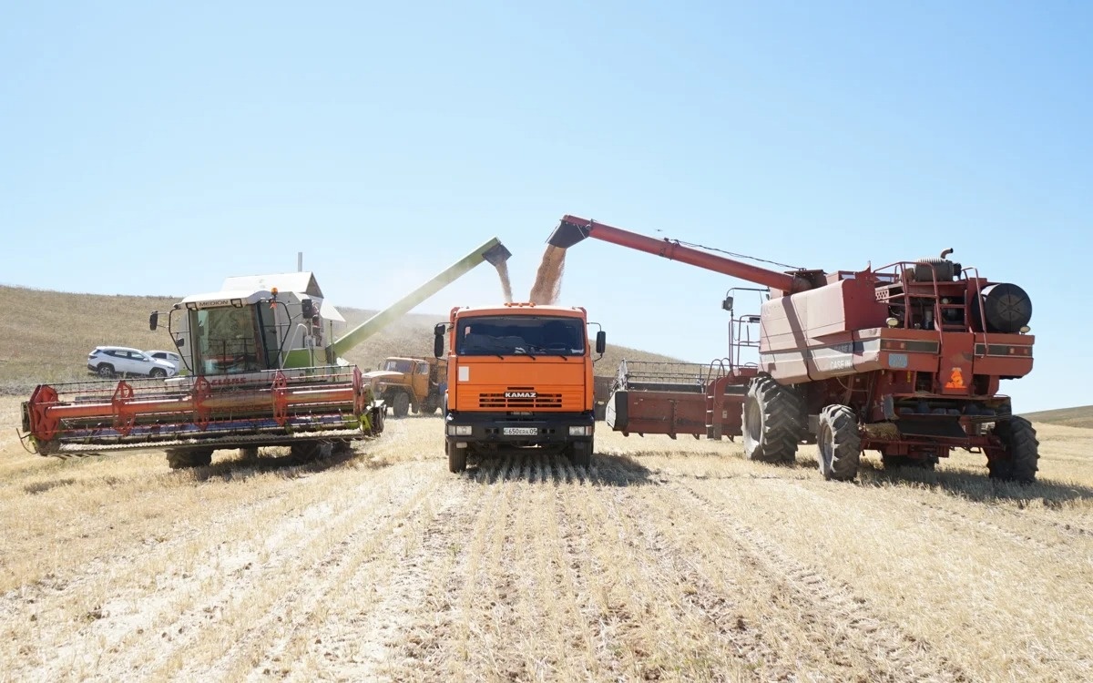 Kazakhstan names top grain stock regions