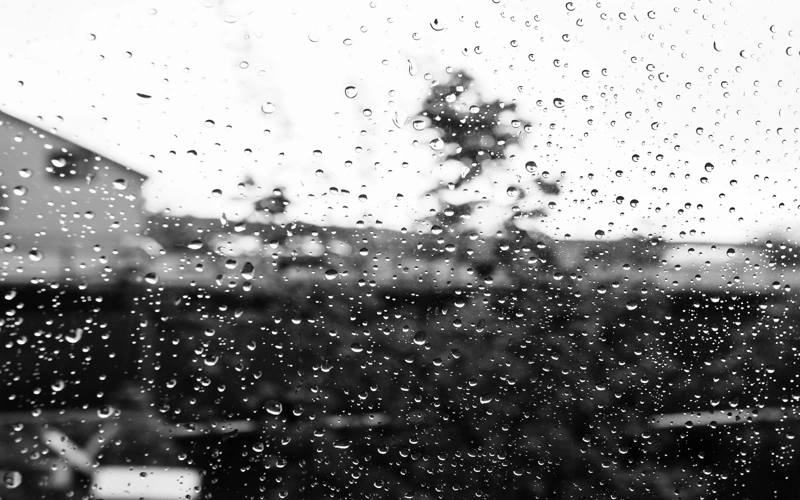 Rain and snow to hit Kazakhstan's north Apr 15