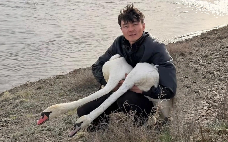 aqqý