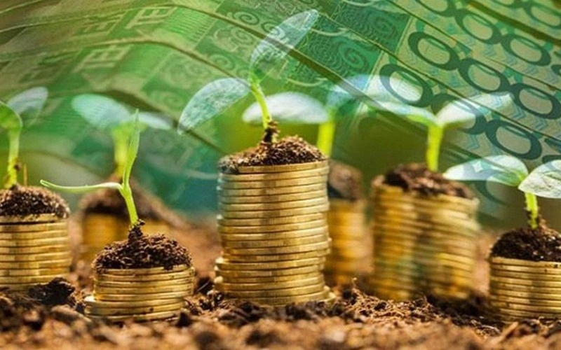 Kazakhstan interested in expanding agricultural exports to Türkiye