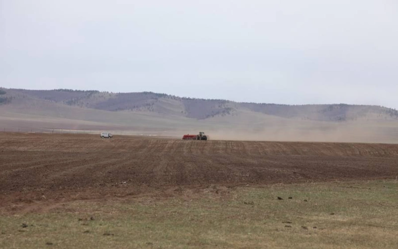 Mońǵolııada kóktemgi egis 633 myń gektardan asady