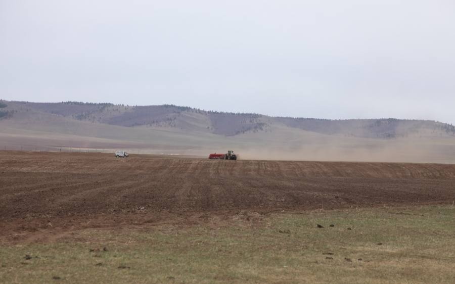 Моңғолияда көктемгі егіс 633 мың гектардан асады