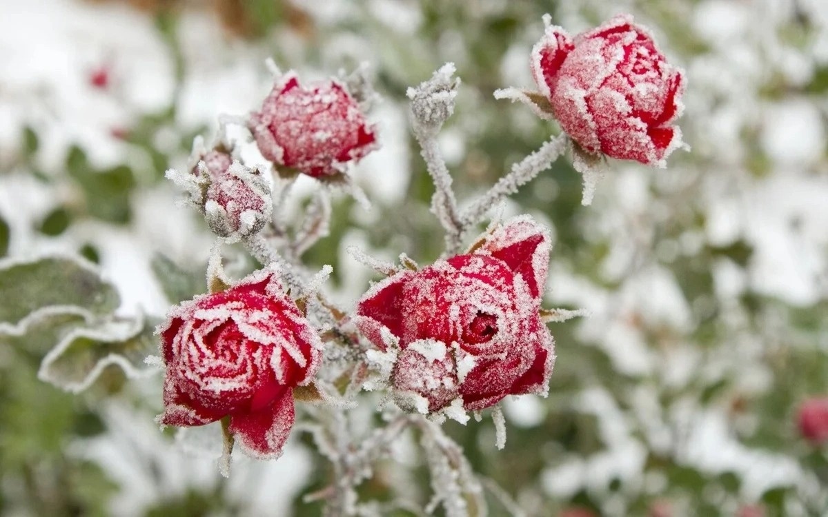 Weather forecast for Kazakhstan on April 16–18