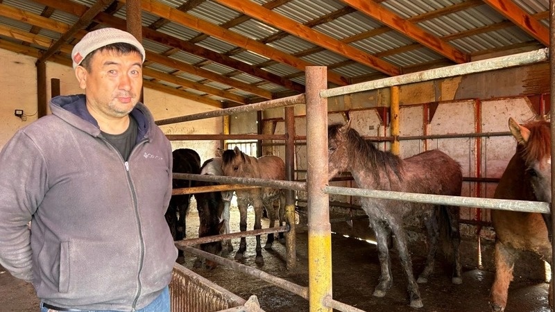 Аскар Мусин, фермер