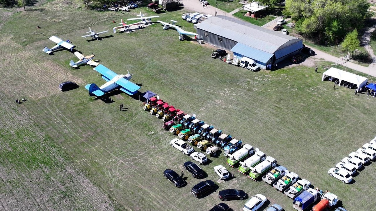 Алматы облысында 1,8 млн гектар жер шегірткеге қарсы бақылауға алынады