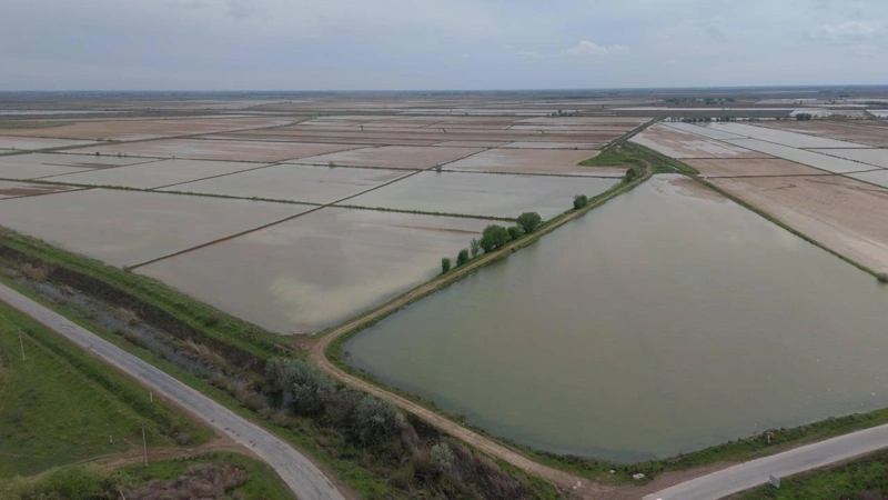 Túrkistan oblysynda sor shaıý úshin 400 mln tekshe metr sý berildi
