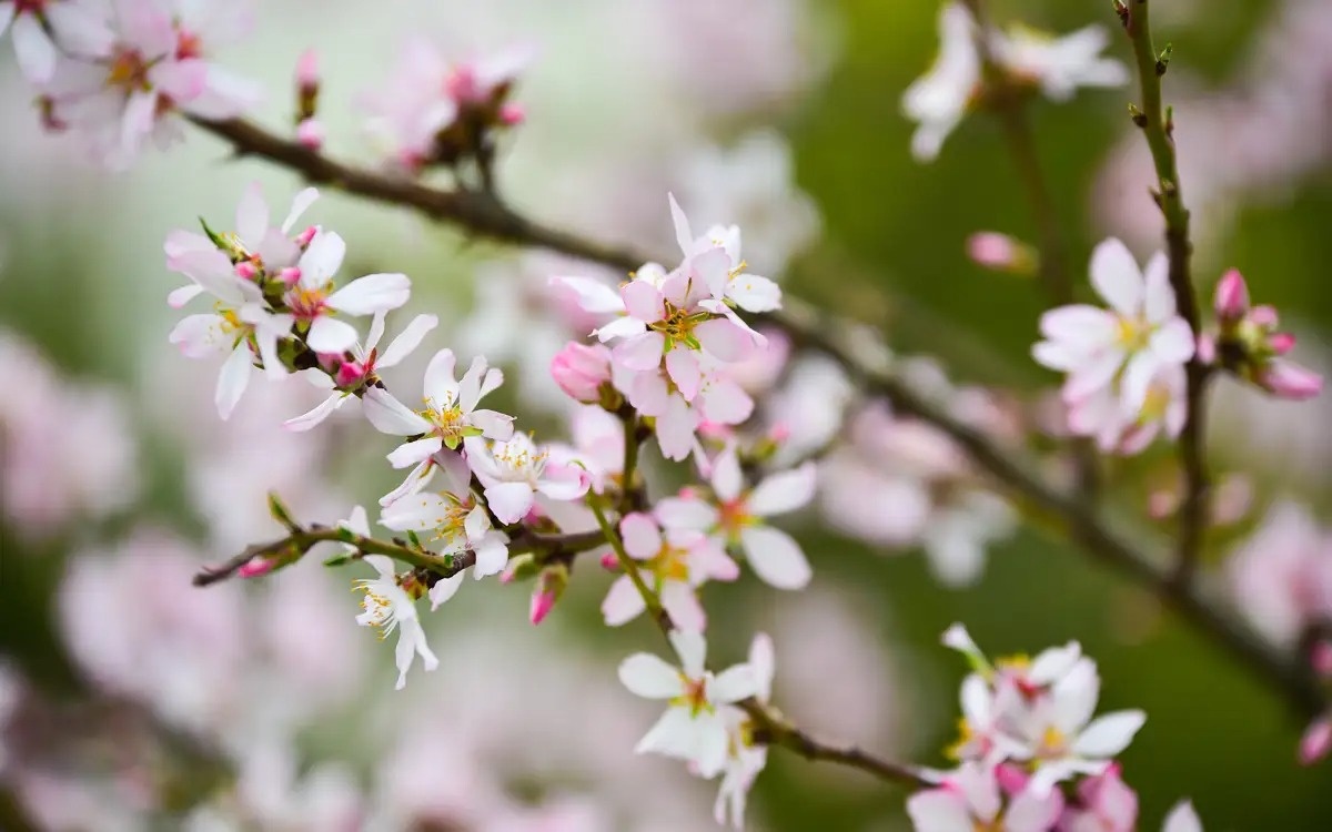 Warmer weather expected in Kazakhstan this weekend
