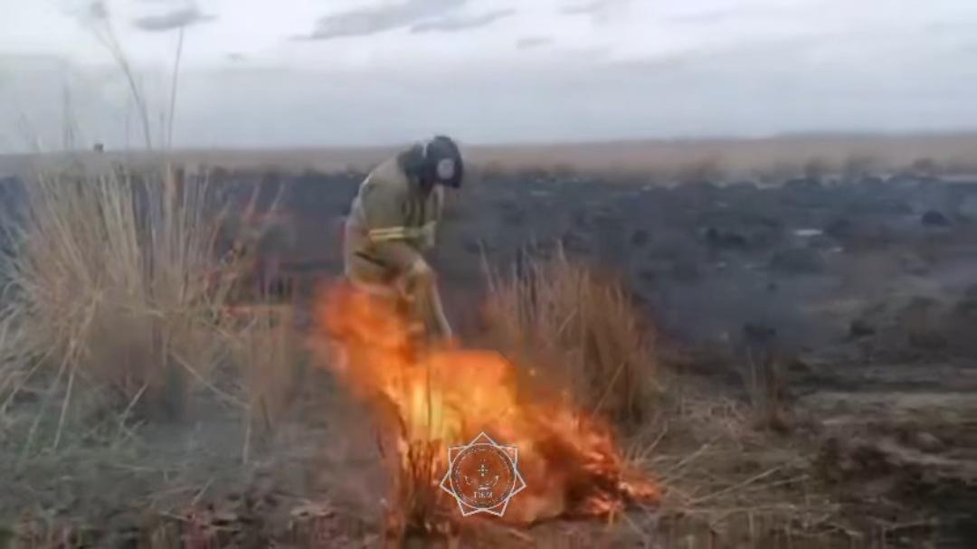 ШҚО-да қамыс өртенді