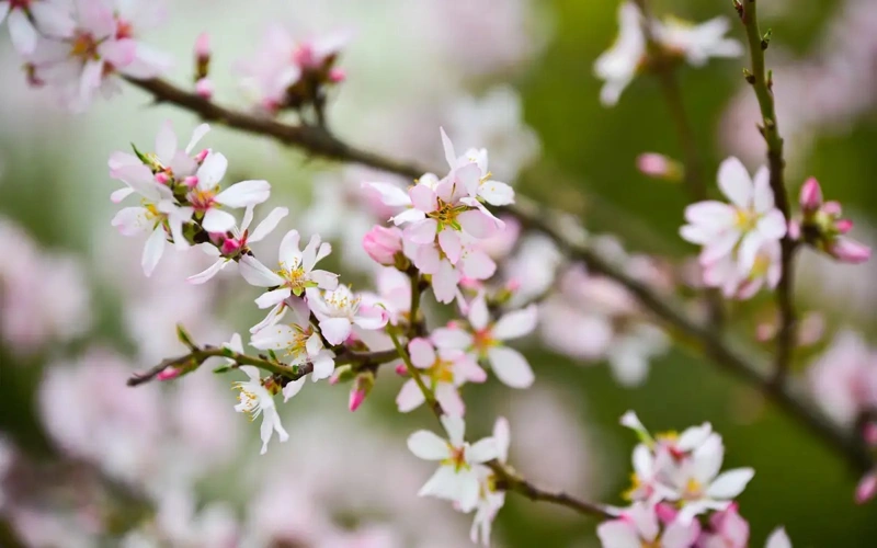 Warmer weather expected in Kazakhstan this weekend