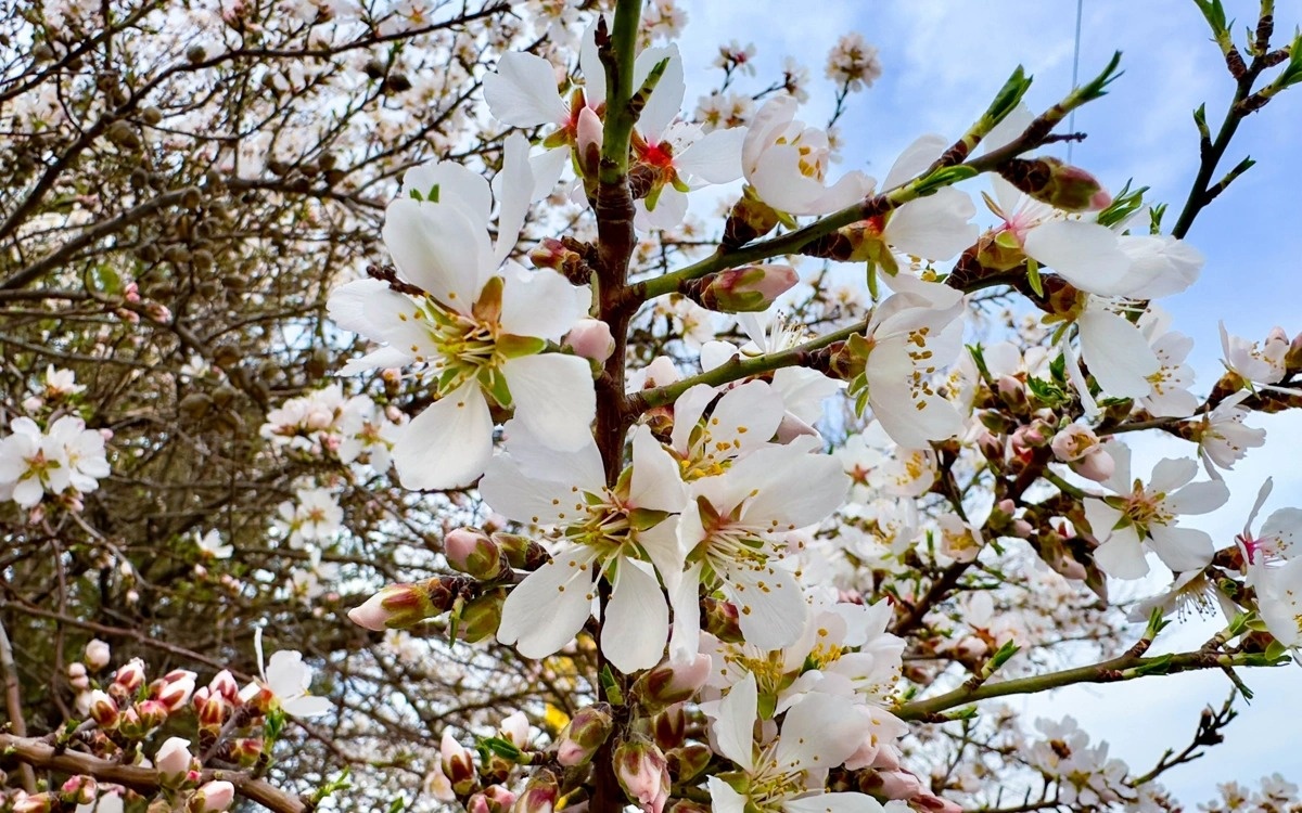 Бүгін күн райы қалай болады