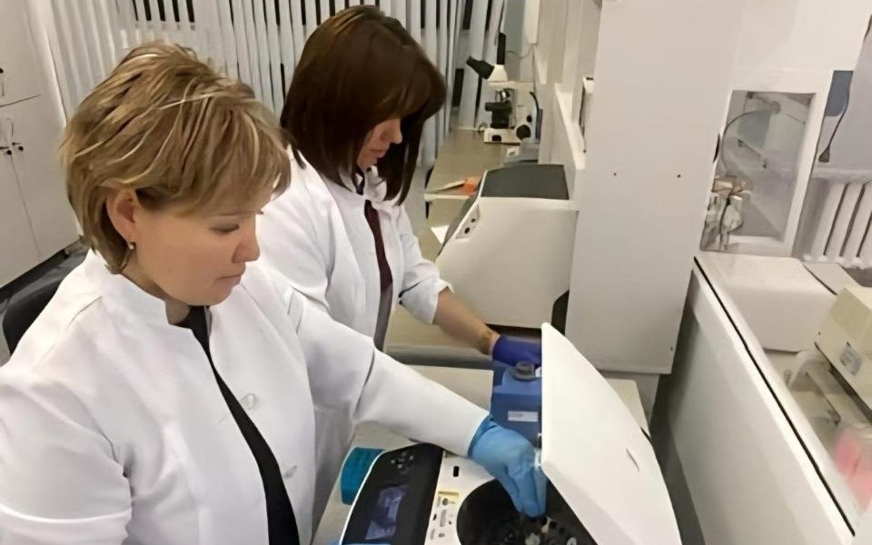 Қазақстандық ғалымдар құрғақшылыққа төзімді жаңа сорттарды патенттеді