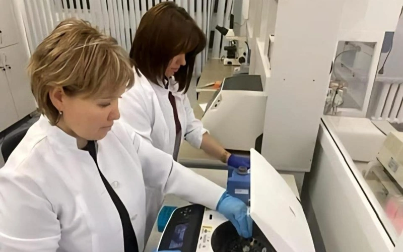 Kazakh scientists patent drought-resistant crops