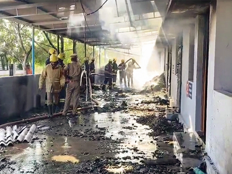 Blast at firecracker factory in India claims 23 lives
