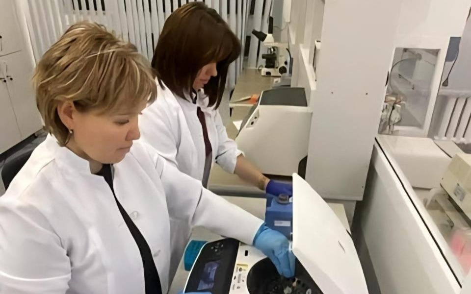 Kazakh scientists patent drought-resistant crops