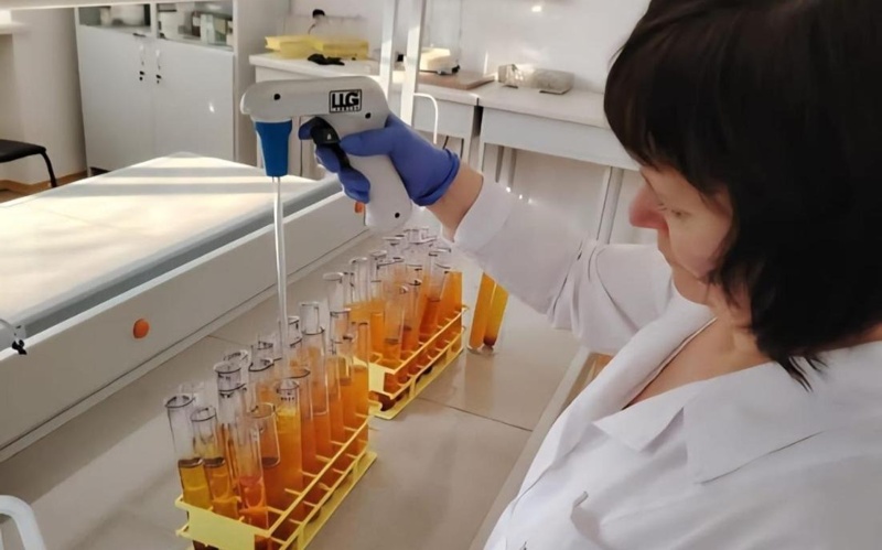 Kazakh scientists patent drought-resistant crops