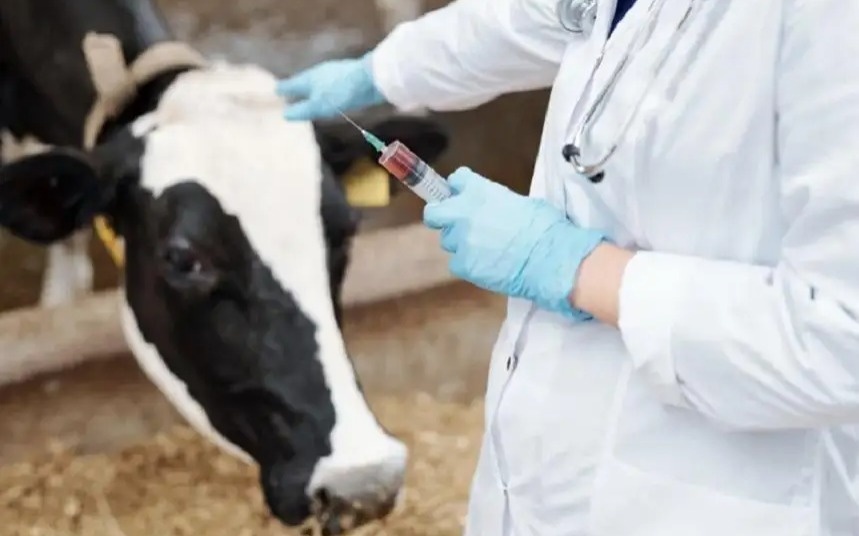 Kazakhstan ready to supply livestock vaccines to Mongolia
