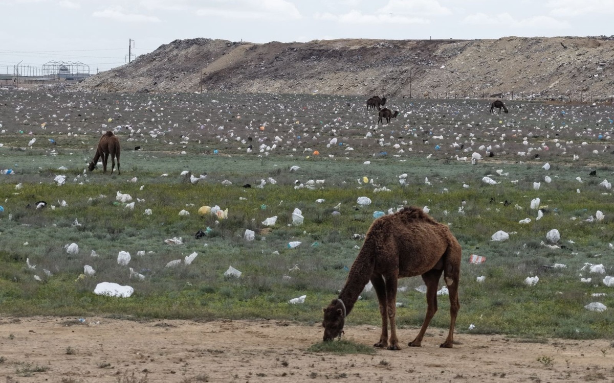 Маңғыстауда далаға шашылған қоқыс: әкімдік себебін түсіндірді