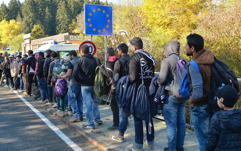 migration 