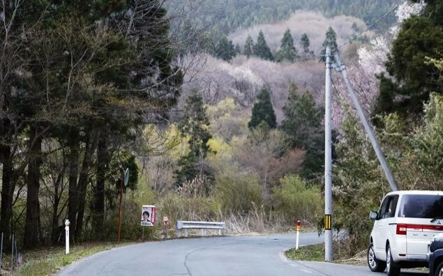Japan reports suspected bear attack fatality in Iwate