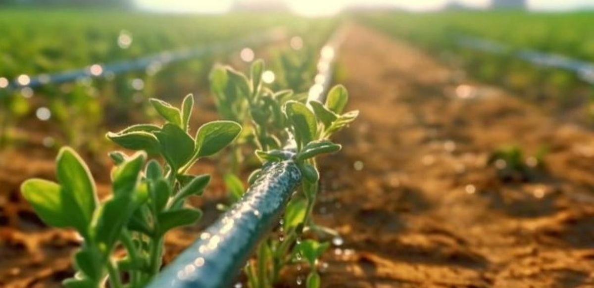 Елде маусымдық су тұтынудың жаңа моделі қалыптасып жатыр