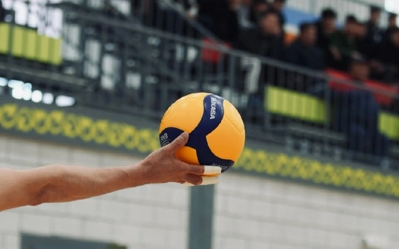 voleıbol