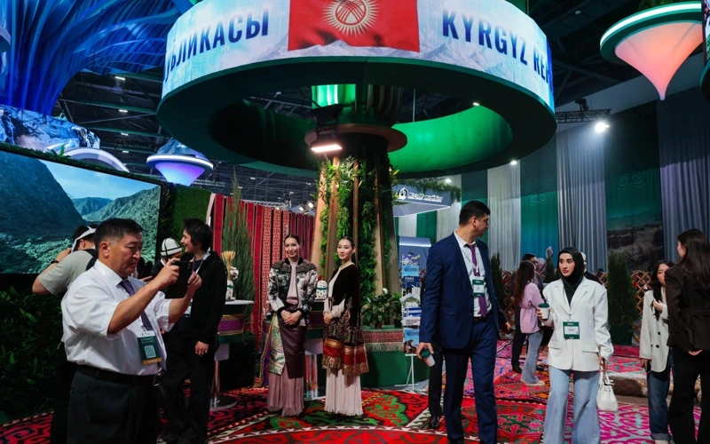 кўргазма
