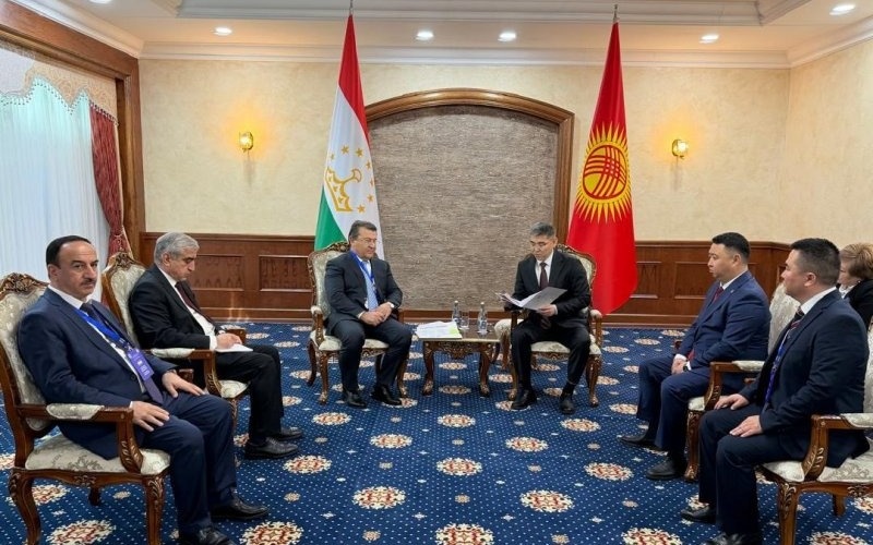 Tajikistan, Kyrgyzstan seek to deepen healthcare partnership