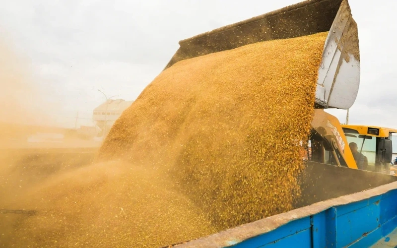 Akmola region to build grain deep-processing plant