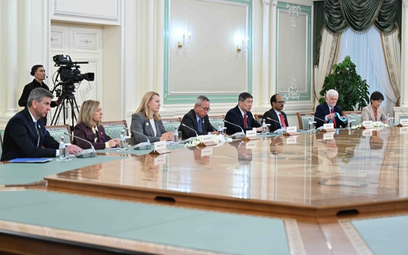 President Tokayev, UN delegation discuss ecological challenges and reforms