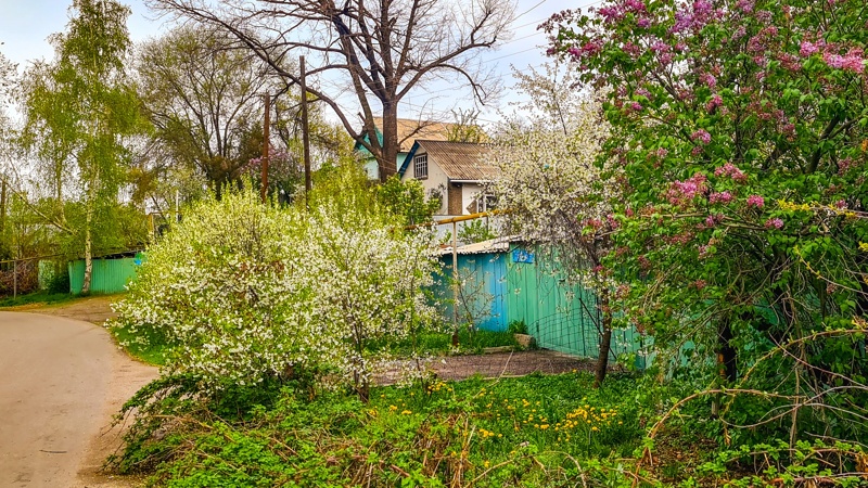 деревня, ауыл, погода, цветы, сирень