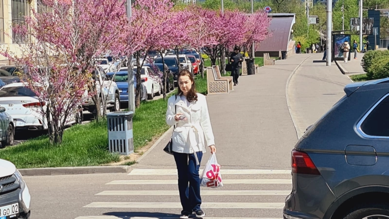 пешеходный переход, погода