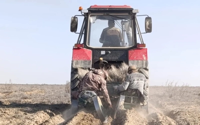 Как выполняется план по&nbsp;высадке саксаула на&nbsp;высохшем дне Аральского моря