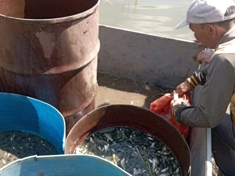 Какие ключевые проблемы сдерживают развитие рыбной отрасли Казахстана