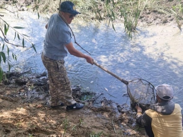 Какие ключевые проблемы сдерживают развитие рыбной отрасли Казахстана