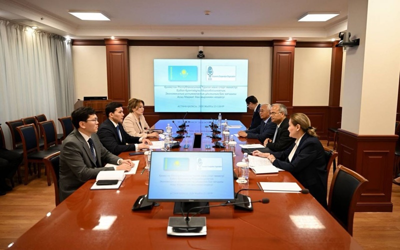 Ербол Мырзабосынов Экономикалық ынтымақтастық ұйымының Бас хатшысы Асад Маджид Ханмен кездесті