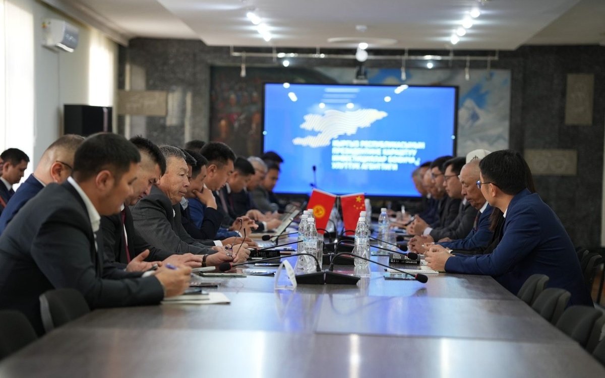 Kyrgyzstan, PowerChina explore joint green investment projects