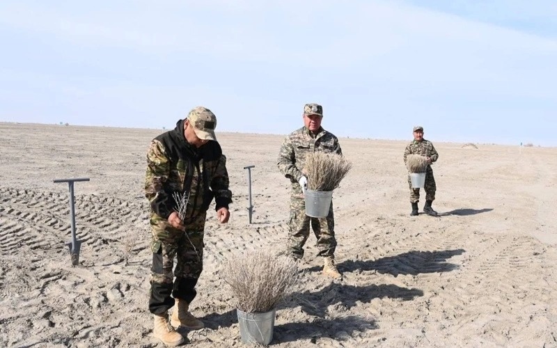 Как выполняется план по&nbsp;высадке саксаула на&nbsp;высохшем дне Аральского моря