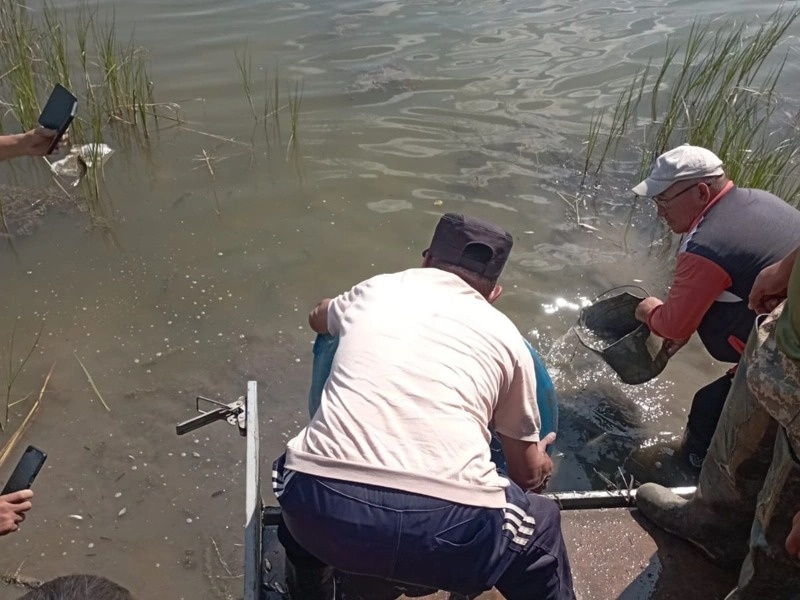 Какие ключевые проблемы сдерживают развитие рыбной отрасли Казахстана