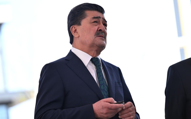 Taza Qazaqstan: 2 million tons of waste collected and 5.5 million trees planted over two years