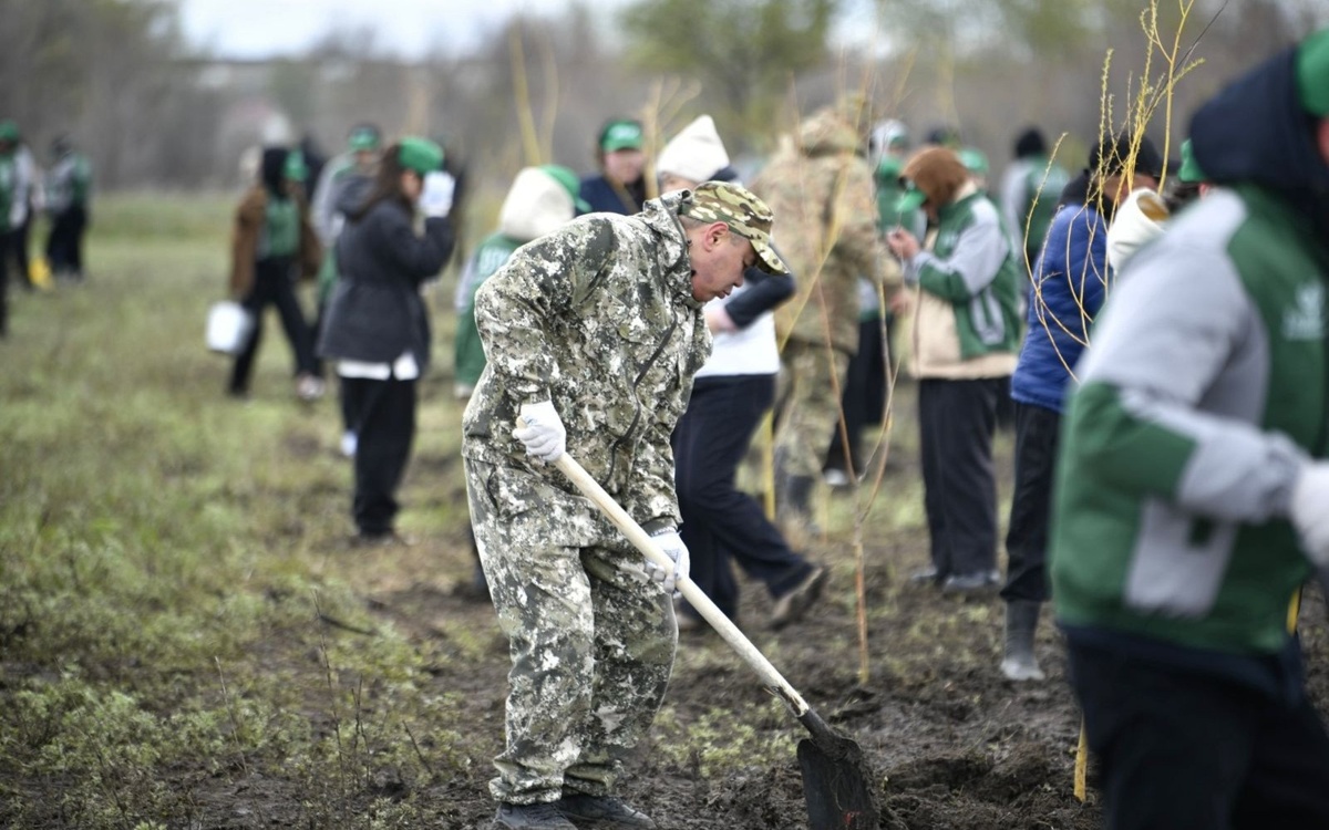Ақтөбе өңірі республикалық ағаш отырғызу акциясына қолдау білдірді