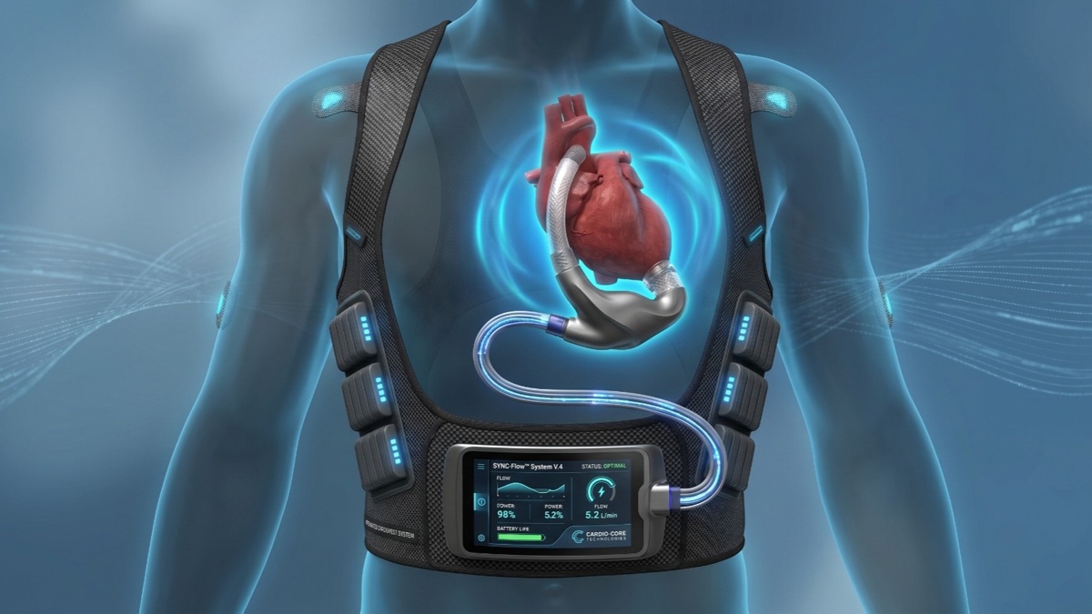 Ғалымдар жүрек қатерлі ісігінің неге сирек кездесетінін анықтады