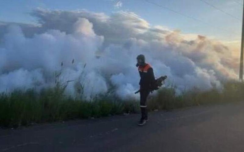 В Астане проводятся полномасштабные дезинсекционные работы против комаров