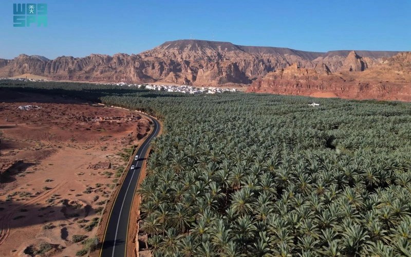 Saudi date exports hit record SAR1.9bn in 2025, up 14.3%