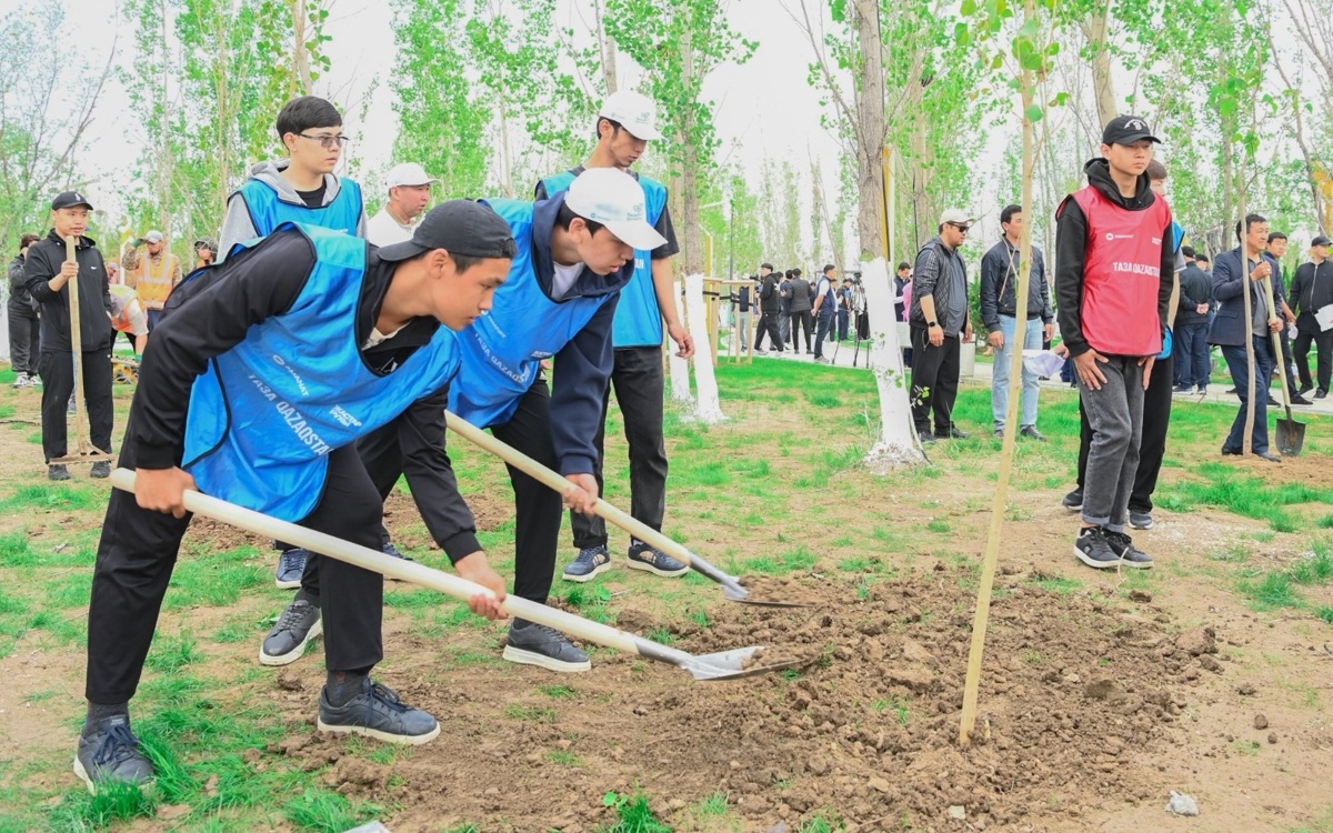 «Таза Қазақстан»: Қызылорда облысында 12 000 тал егілді